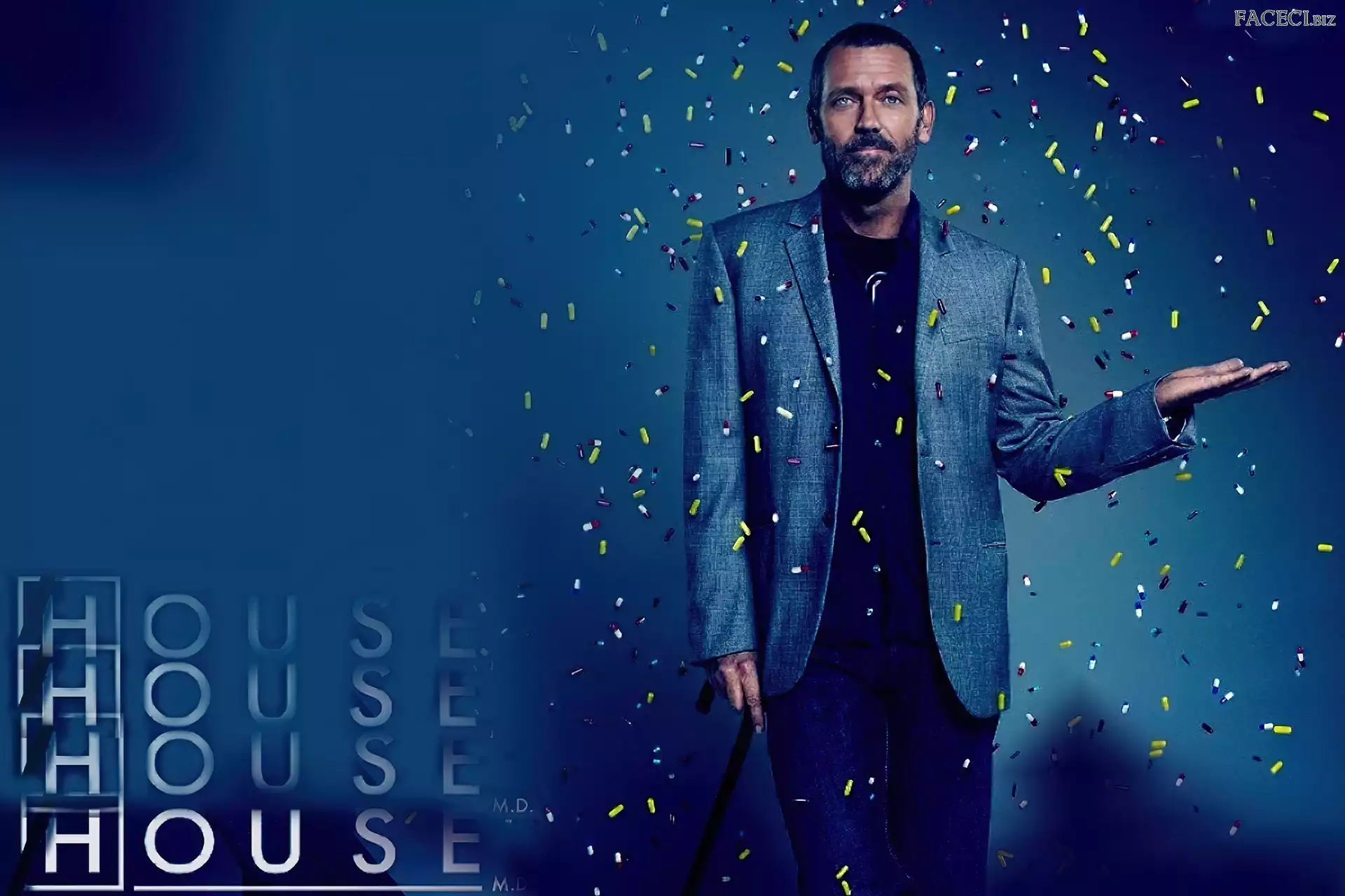 Hugh Lauriego, Dr. House